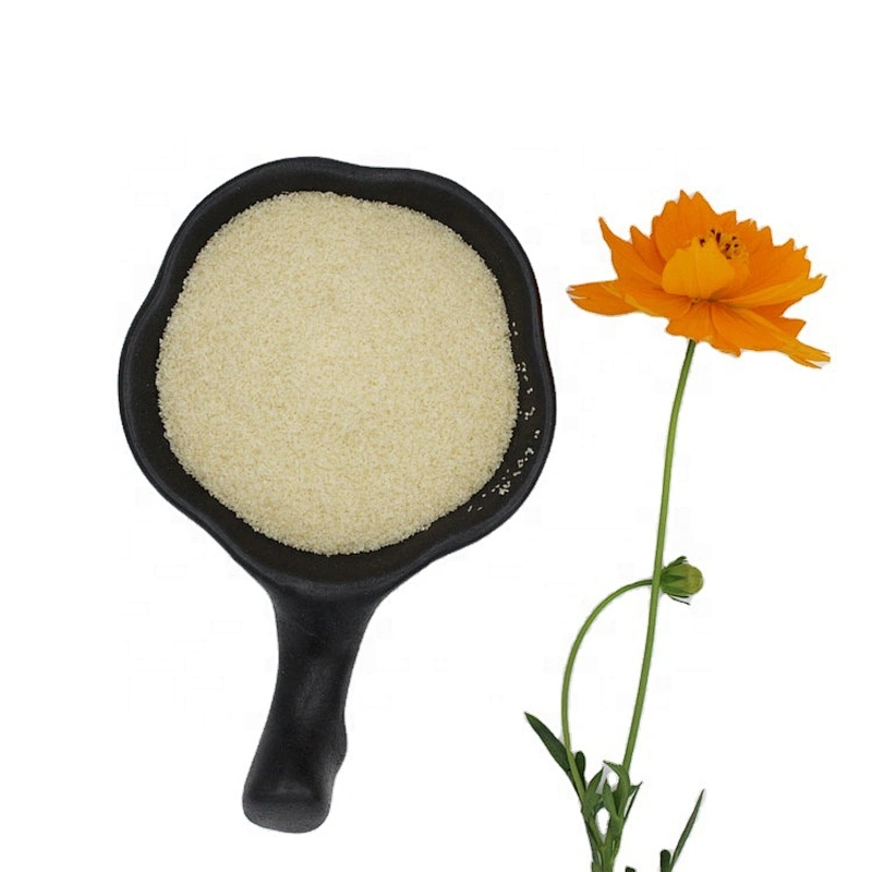 Hot sale Pharmaceutical Grade Gelatin Powder for medical use